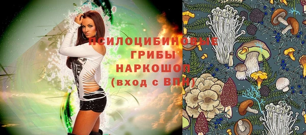 синтетический гашиш Алексин