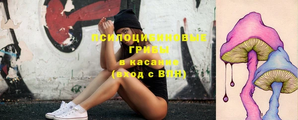 прущий лед Ельня