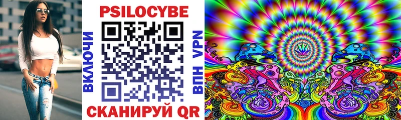 Псилоцибиновые грибы мухоморы  купить закладку  Чаплыгин 